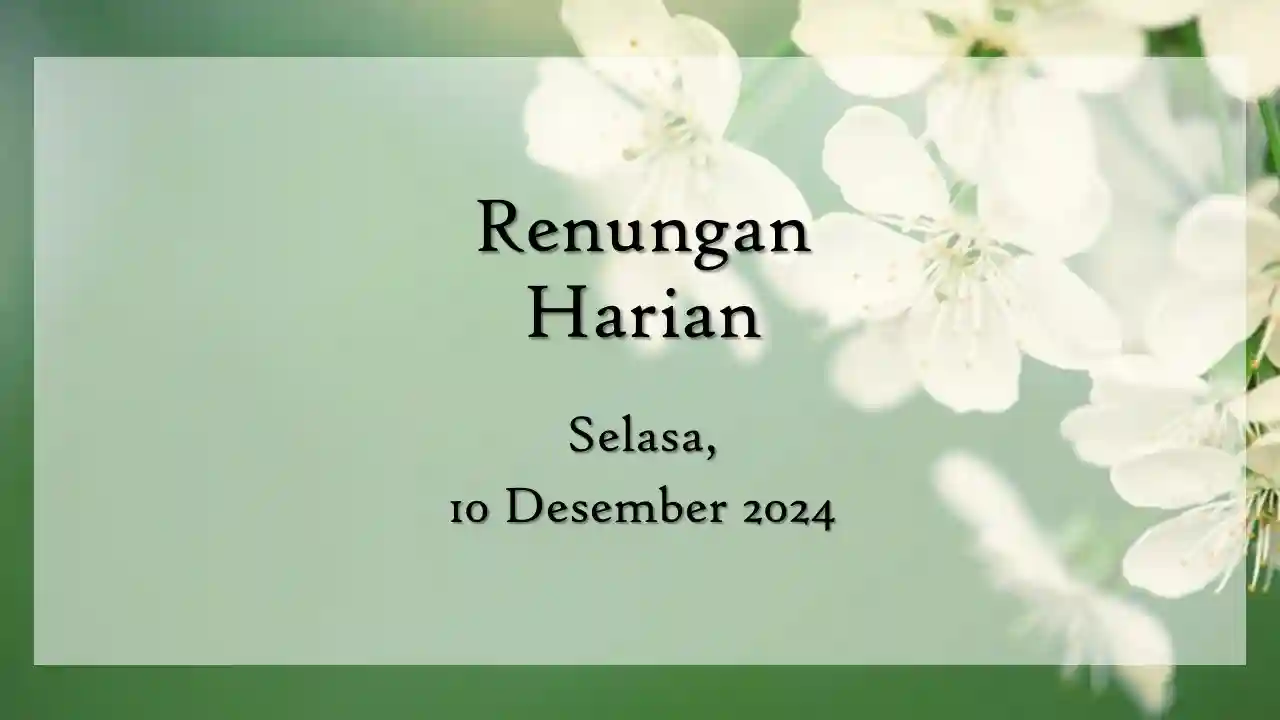 Renungan Harian Hari Ini dan Bacaan Injil 10 Desember 2024 renungan harian hari ini