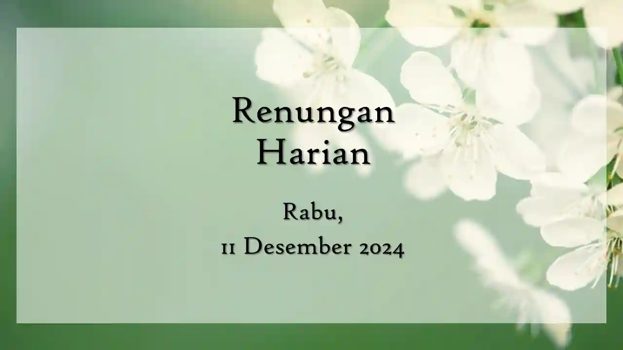 Renungan Harian Hari Ini dan Bacaan Injil 11 Desember 2024 renungan harian hari ini
